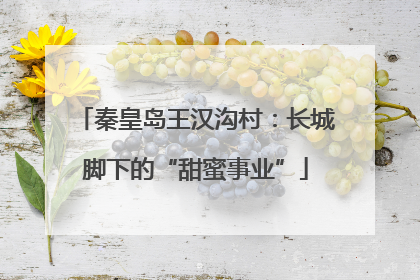 秦皇岛王汉沟村：长城脚下的“甜蜜事业”