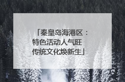秦皇岛海港区：特色活动人气旺 传统文化焕新生