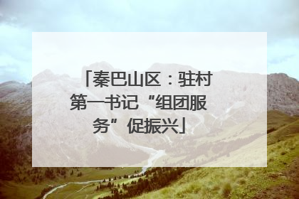秦巴山区：驻村第一书记“组团服务”促振兴