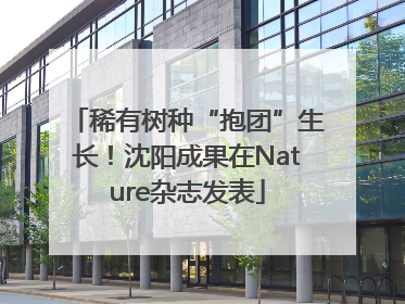 稀有树种“抱团”生长！沈阳成果在Nature杂志发表