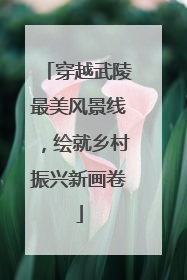 穿越武陵最美风景线，绘就乡村振兴新画卷