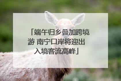 端午归乡叠加跨境游 南宁口岸将迎出入境客流高峰