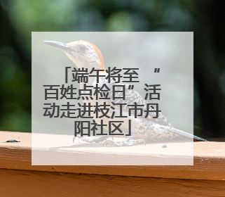 端午将至 “百姓点检日”活动走进枝江市丹阳社区