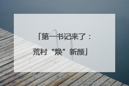 第一书记来了：荒村“焕”新颜