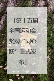 第十五届全国运动会奖牌“同心跃”正式发布
