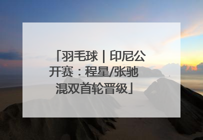 羽毛球｜印尼公开赛：程星/张驰混双首轮晋级