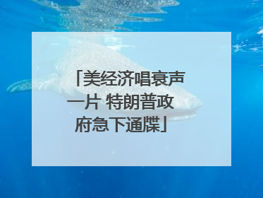 美经济唱衰声一片 特朗普政府急下通牒
