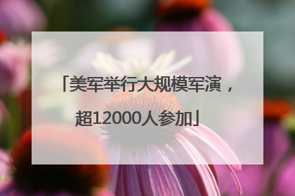 美军举行大规模军演，超12000人参加
