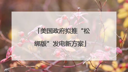 美国政府拟推“松绑版”发电新方案
