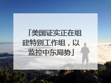 美国证实正在组建特别工作组，以监控中东局势