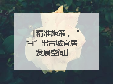 精准施策，“扫”出古城宜居发展空间