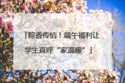 粽香传情！端午福利让学生直呼“家温暖”