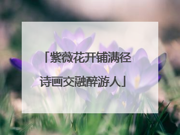 紫薇花开铺满径 诗画交融醉游人