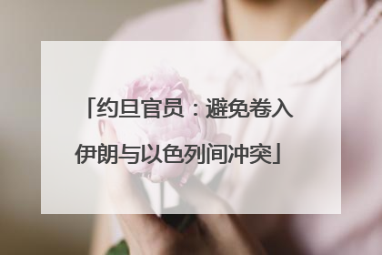 约旦官员：避免卷入伊朗与以色列间冲突