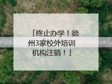 终止办学！德州3家校外培训机构注销！