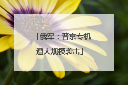 俄军：普京专机遭大规模袭击