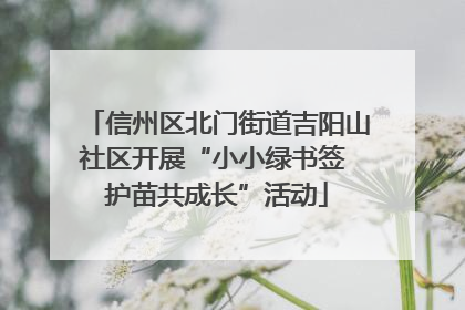 信州区北门街道吉阳山社区开展“小小绿书签 护苗共成长”活动