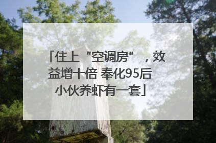 住上“空调房”，效益增十倍 奉化95后小伙养虾有一套