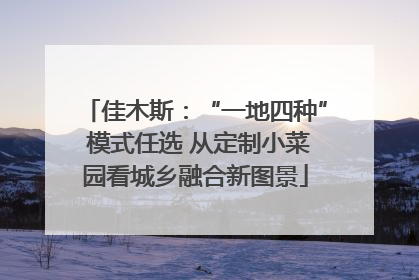 佳木斯：“一地四种” 模式任选 从定制小菜园看城乡融合新图景
