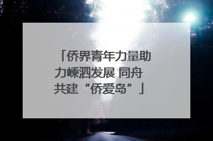 侨界青年力量助力嵊泗发展 同舟共建“侨爱岛”
