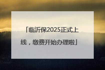 临沂保2025正式上线，缴费开始办理啦