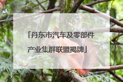 丹东市汽车及零部件产业集群联盟揭牌