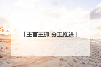 主官主抓 分工推进