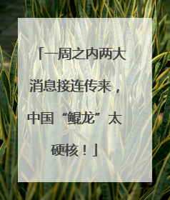 一周之内两大消息接连传来，中国“鲲龙”太硬核！