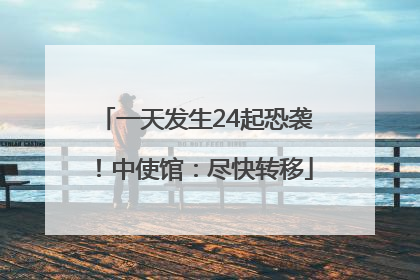 一天发生24起恐袭！中使馆：尽快转移