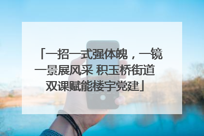 一招一式强体魄，一镜一景展风采 积玉桥街道双课赋能楼宇党建
