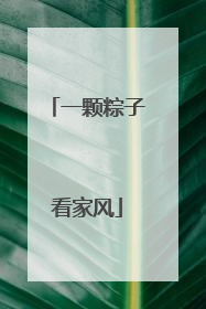 一颗粽子看家风