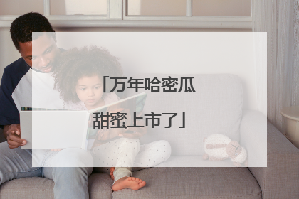 万年哈密瓜甜蜜上市了
