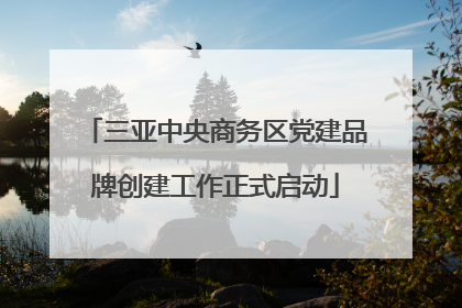 三亚中央商务区党建品牌创建工作正式启动
