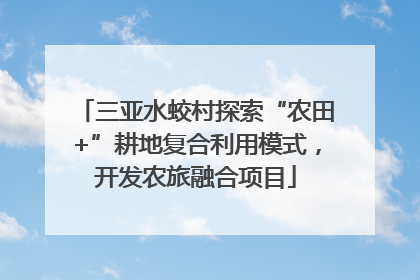 三亚水蛟村探索“农田+”耕地复合利用模式，开发农旅融合项目