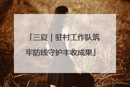 三夏｜驻村工作队筑牢防线守护丰收成果