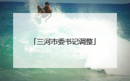 三河市委书记调整