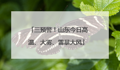 三预警！山东今日高温、大雾、雷暴大风