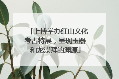 上博举办红山文化考古特展，呈现玉器和龙崇拜的渊源