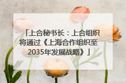上合秘书长：上合组织将通过《上海合作组织至2035年发展战略》
