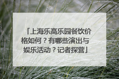 上海乐高乐园餐饮价格如何？有哪些演出与娱乐活动？记者探营