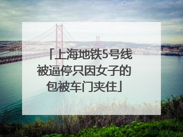 上海地铁5号线被逼停只因女子的包被车门夹住