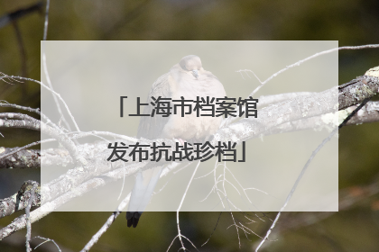 上海市档案馆发布抗战珍档