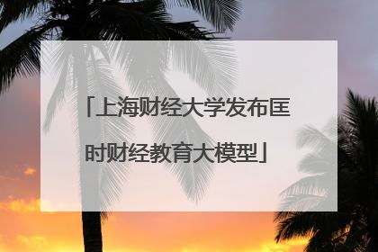 上海财经大学发布匡时财经教育大模型