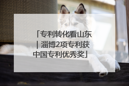 专利转化看山东｜淄博2项专利获中国专利优秀奖
