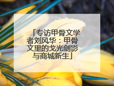 专访甲骨文学者刘风华：甲骨文里的戈光剑影与商城新生