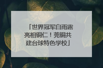 世界冠军白雨露亮相铜仁！莞铜共建台球特色学校