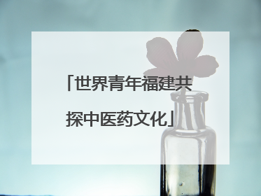 世界青年福建共探中医药文化