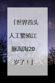 世界首头人工繁殖江豚淘淘20岁了！