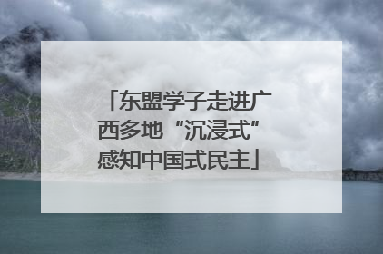 东盟学子走进广西多地“沉浸式”感知中国式民主