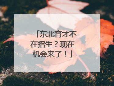 东北育才不在招生？现在机会来了！